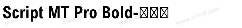 Script MT Pro Bold字体转换